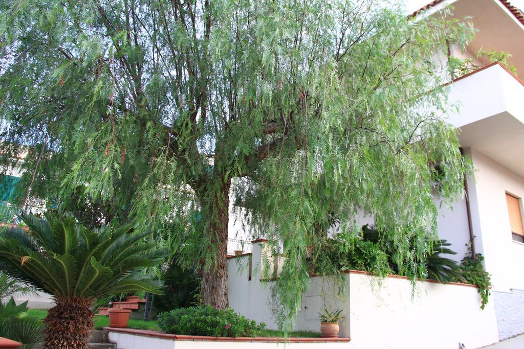 B&B La Piccola Oasi Lazzaro Rom bilde